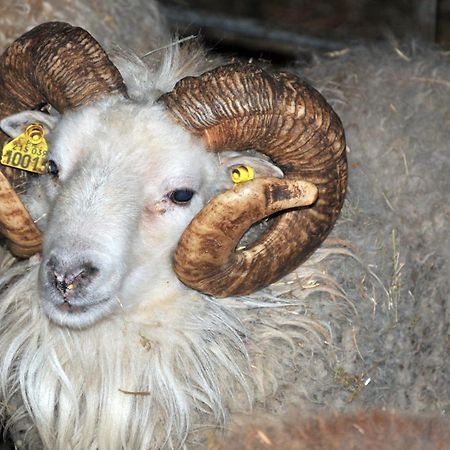 Вилла La Ferme De Flo' Evry  Экстерьер фото