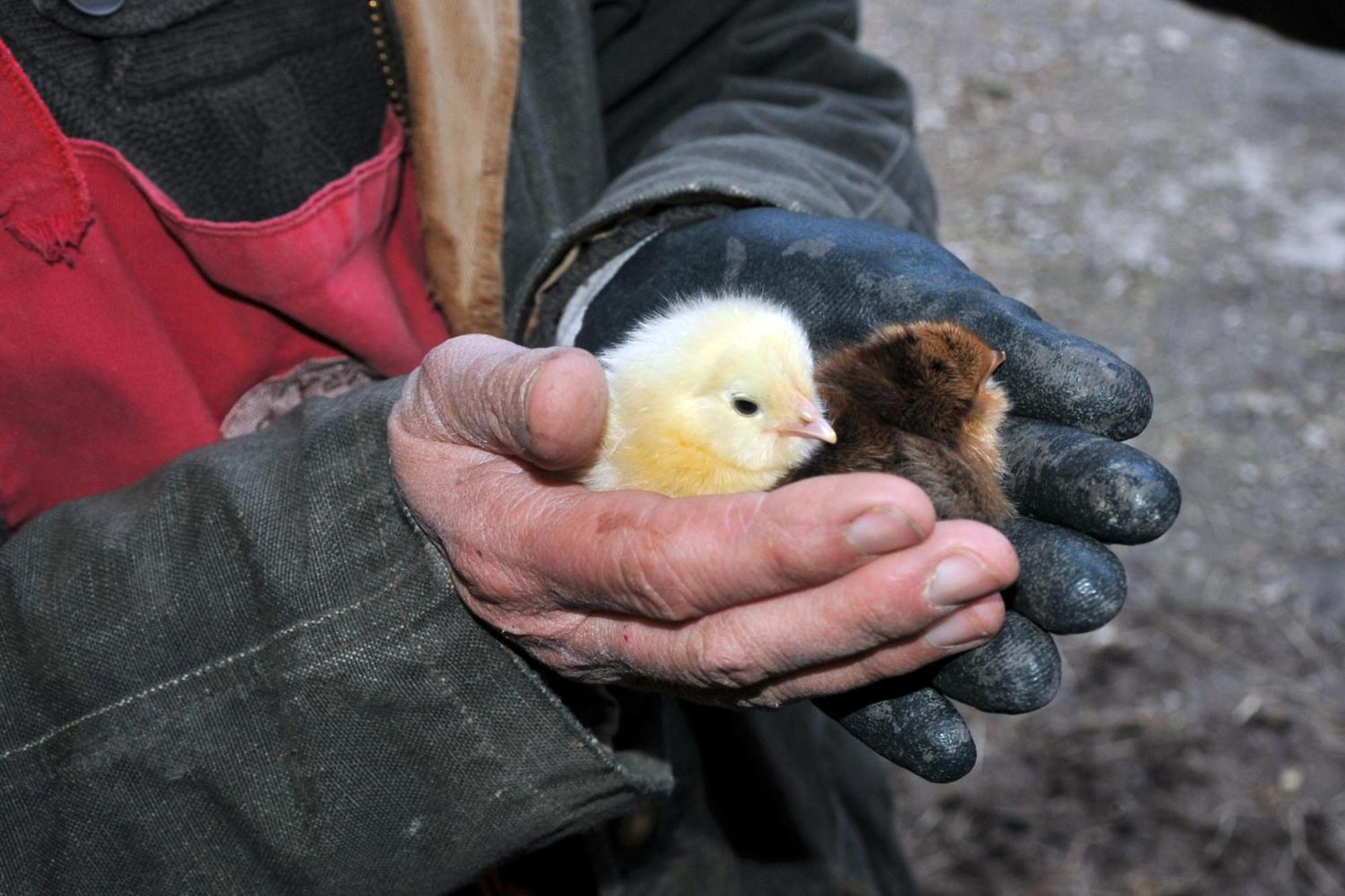 Вилла La Ferme De Flo' Evry  Экстерьер фото